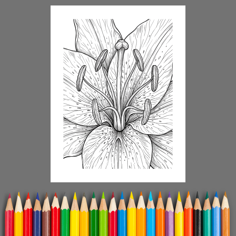 Spring Season: A Beautiful Springtime Coloring Book