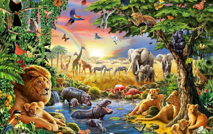 How Exotic Animals Inspire Bold Coloring Choices