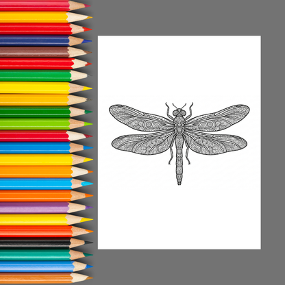 Mandala Animals: An Adult Coloring Book for Relaxation