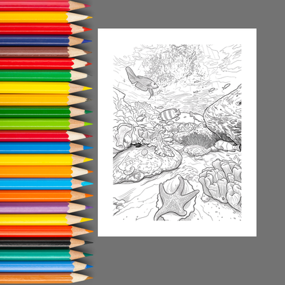 Summer Vacation: A Tropical Escape Through Coloring