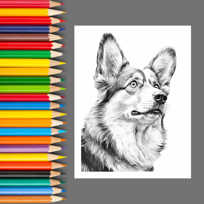 Adorable Dogs: A Dog Lover’s Coloring Book