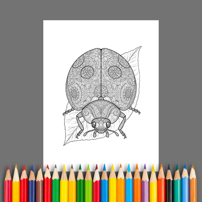 Mandala Animals: A Collection of Exquisite Animal Mandalas for Mindful Coloring