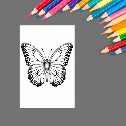 Creative Flight: A Stress-Free Butterfly Coloring Book