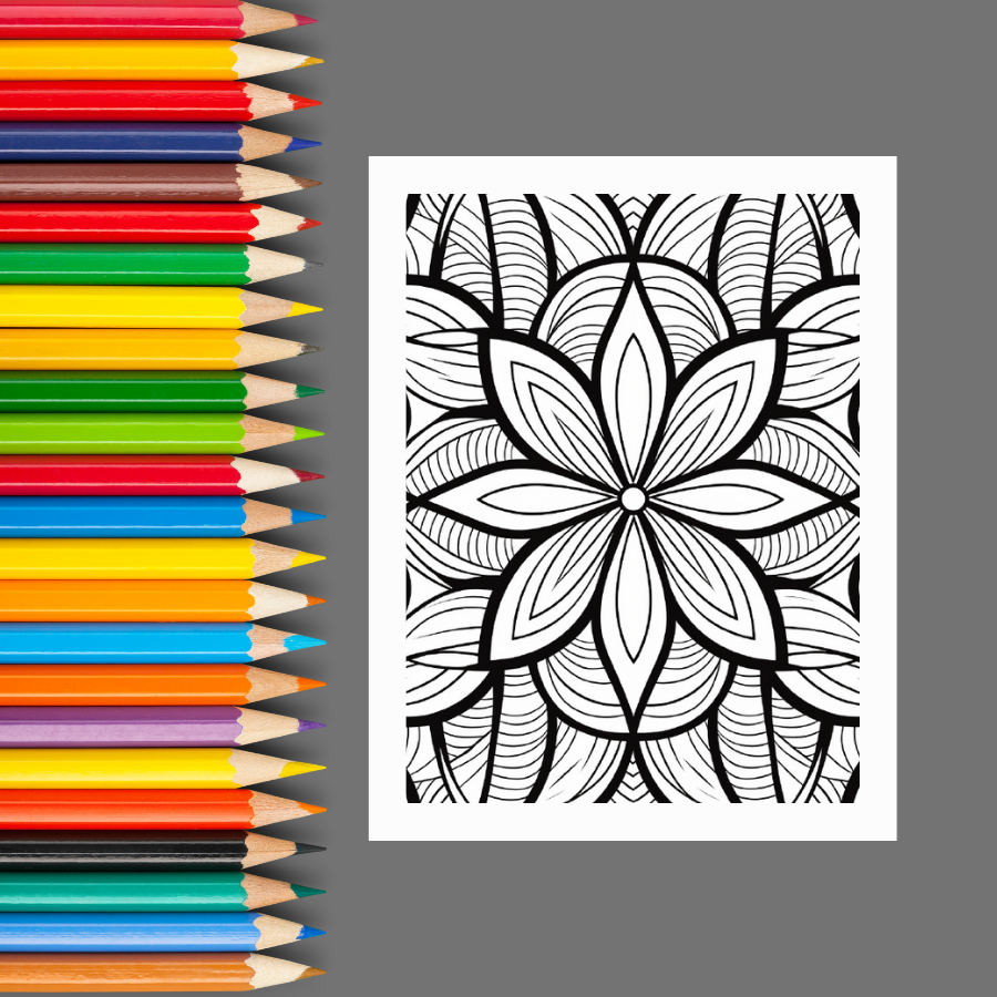 Geometric Shapes: A Geometric Pattern Coloring Book