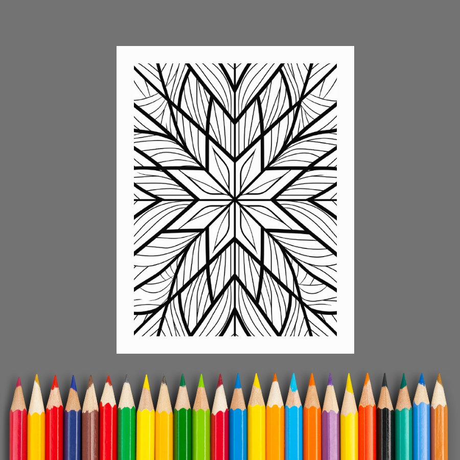 Geometric Shapes: A Geometric Pattern Coloring Book