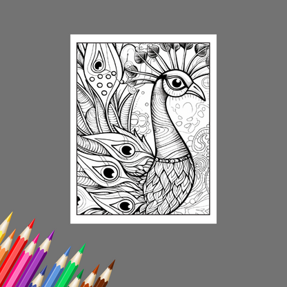 Peacock Elegance: An Adult Coloring Book of Majestic Birds